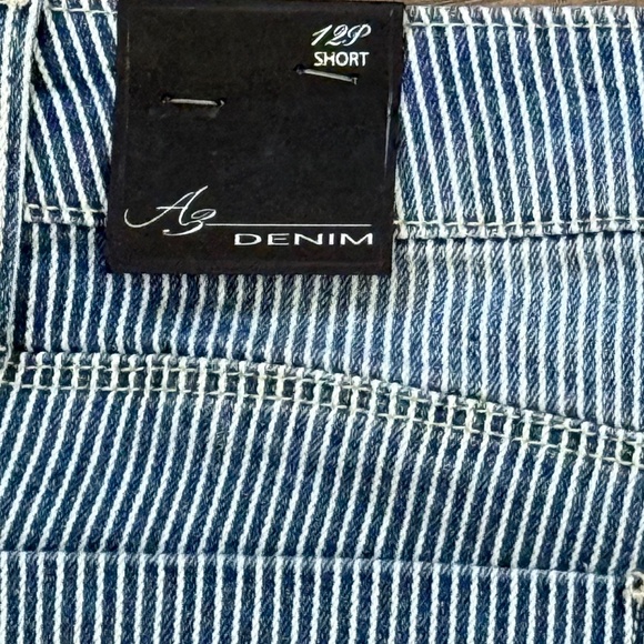 Ag Adriano Goldschmied Blue White Railroad Stripe Pattern Women's Shorts 12P NWT - Picture 8 of 9